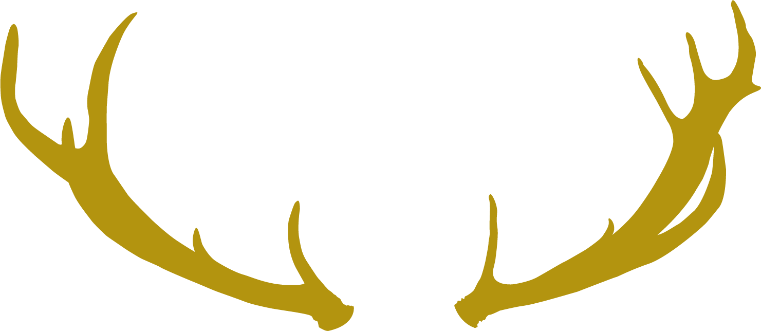 Antlers Stockist